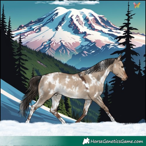 Horse Color:White Spotted Liver Red Dun Rabicano