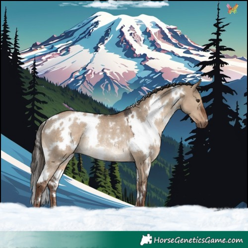 Horse Color:White Spotted Liver Red Dun Rabicano 