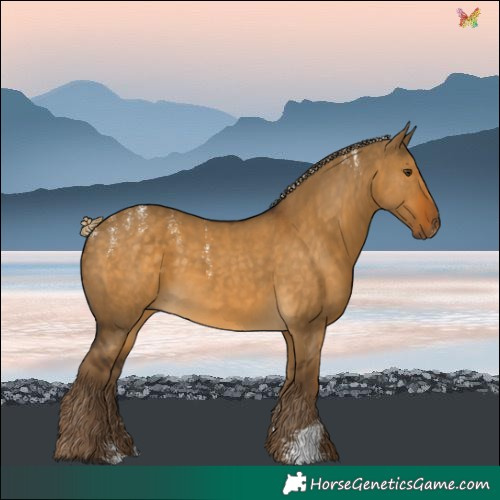 Horse Color:Powder White Chocolate Palomino Dun 