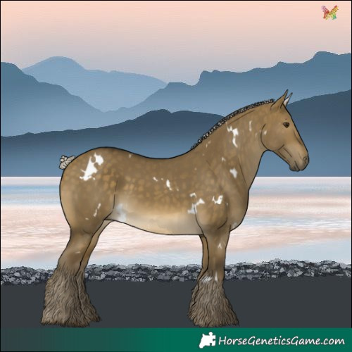 Horse Color:White Spotted Silver Buckskin Dun 