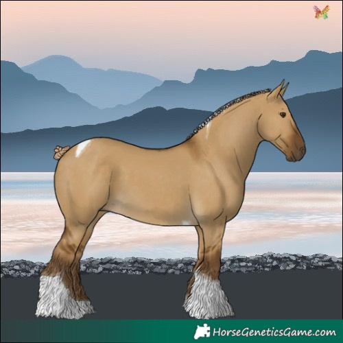 Horse Color:Chocolate Palomino Dun Tobiano