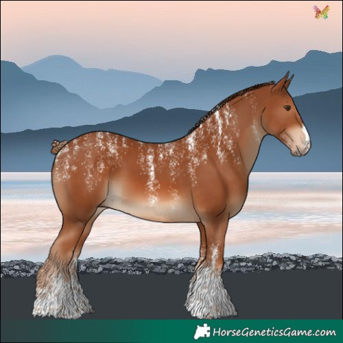 Horse Color:Powder White Chestnut 