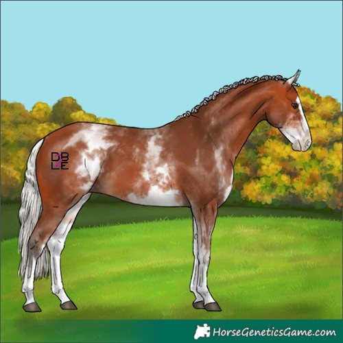 Horse Color:White Spotted Silver Bay Splash