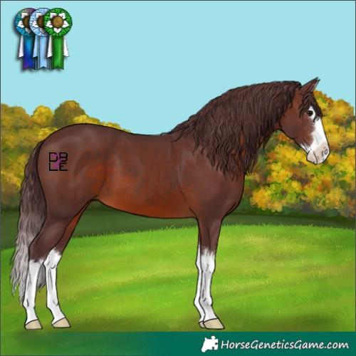Horse Color:Chocolate Brown Splash 