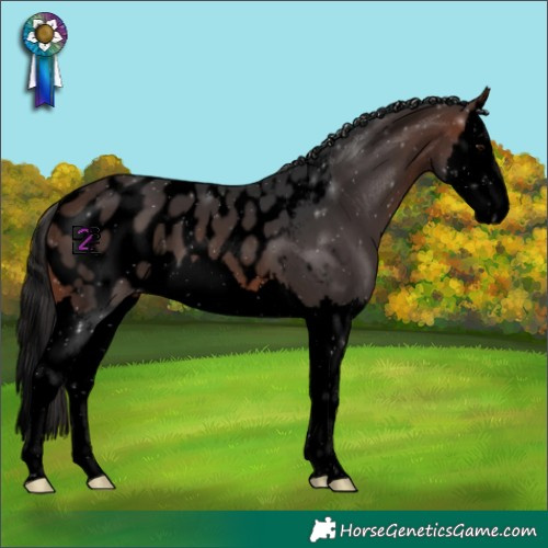 Horse Color:Void Brown Splash Blanket 