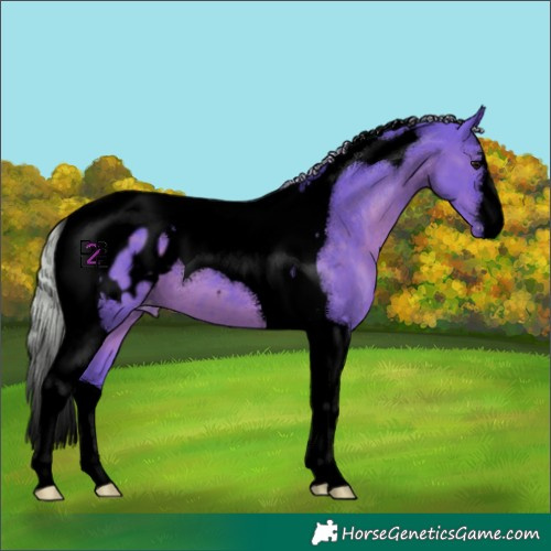 Horse Color:Void Watercolor Silver Black Tobiano Appaloosa 