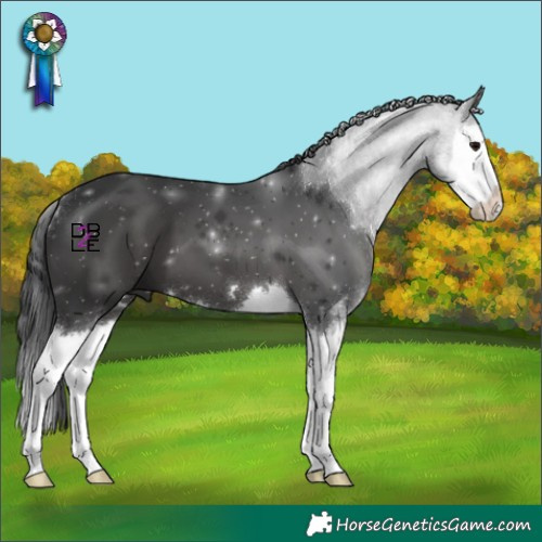 Horse Color:Black Splash