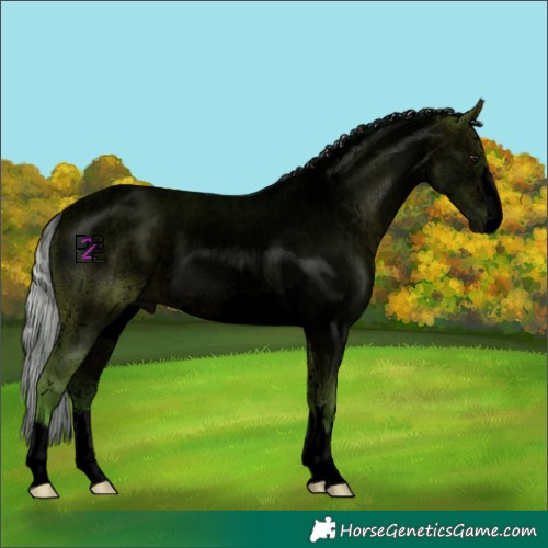 Horse Color:Void Watercolor Silver Brown