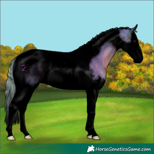 Horse Color:Void Watercolor Silver Brown Splash Tobiano 
