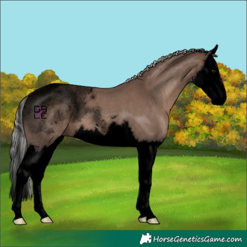 Horse Color:Void Silver Black Splash 