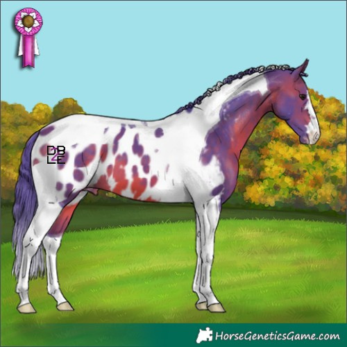 Horse Color:Watercolor Brown Tobiano Appaloosa