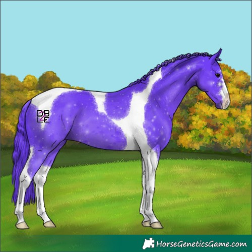 Horse Color:Watercolor Black Tobiano