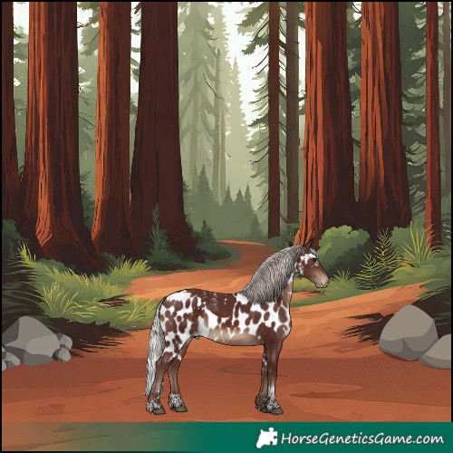 Horse Color:Powder White White Spotted Chocolate Silver Brown Skewed LP Spotted
