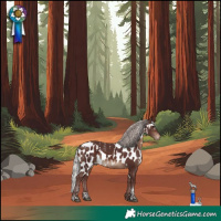 Horse Color:Powder White White Spotted Chocolate Silver Brown Skewed LP Spotted