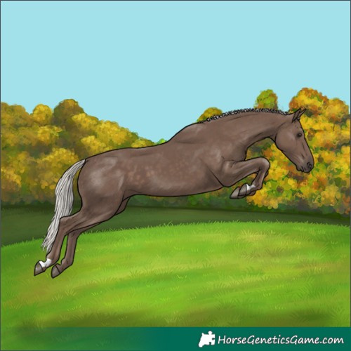 Horse Color:Silver Black 