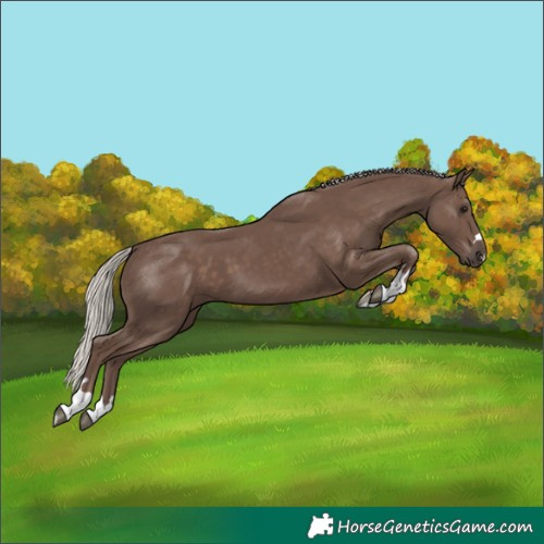 Horse Color:Silver Black 