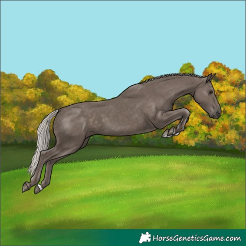 Horse Color:Silver Black 