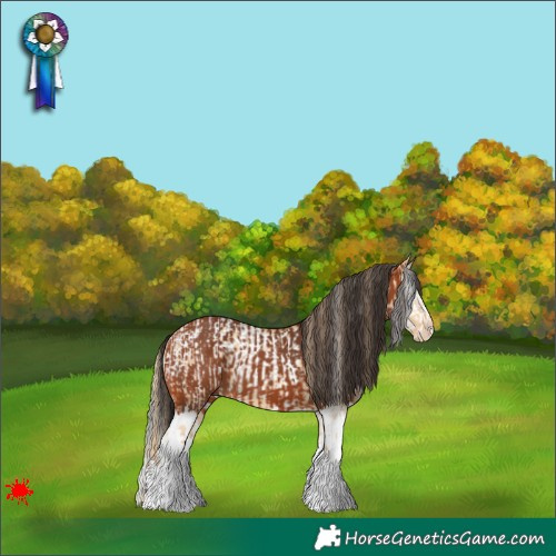 Horse Color:White Spotted Red Dun Blanket and Bay Splash