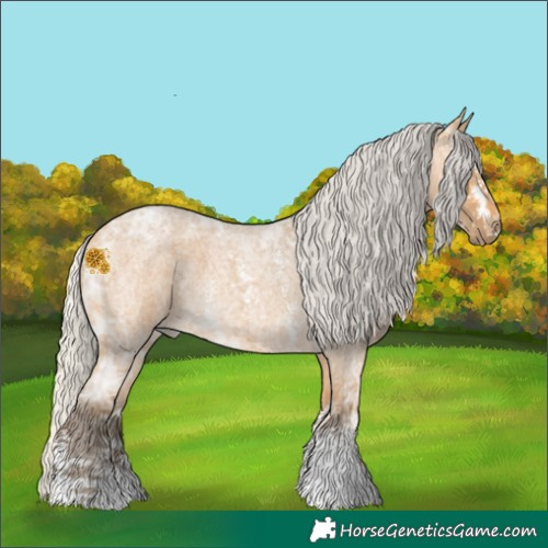 Horse Color:Silver Buckskin Ice Roan Sabino 