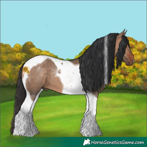 Horse Color:Bay Dun Tobiano 