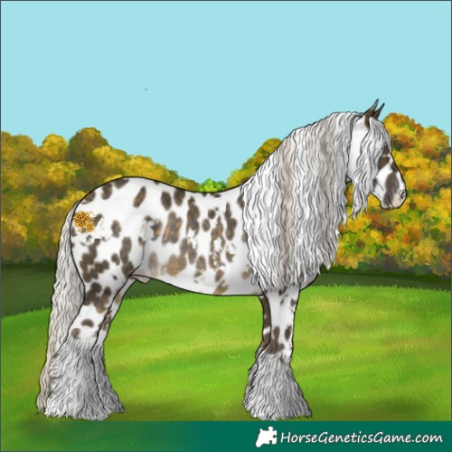 Horse Color:White Spotted Silver Buckskin Appaloosa Rabicano