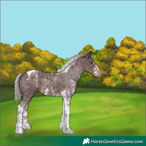 Horse Color:Chocolate Silver Brown Sabino Tobiano