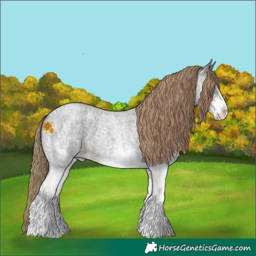 Horse Color:White Spotted Liver Red Roan