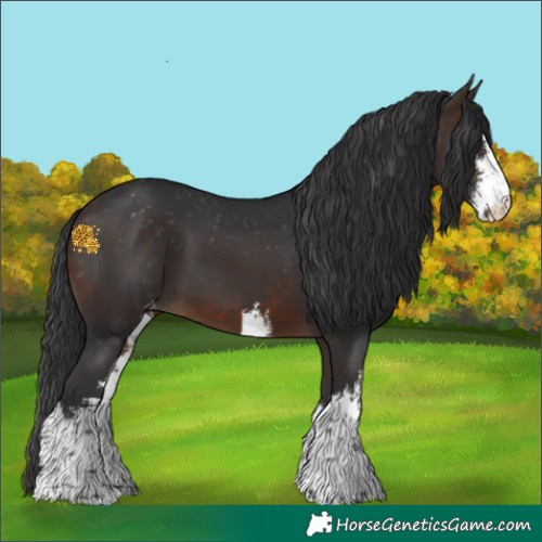 Horse Color:White Spotted Brown Varnish