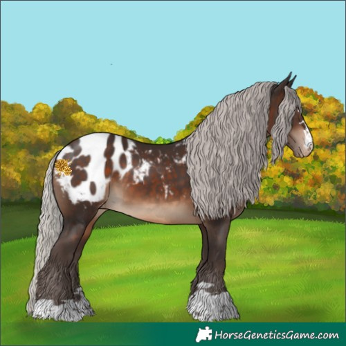 Horse Color:Silver Brown Blanket 