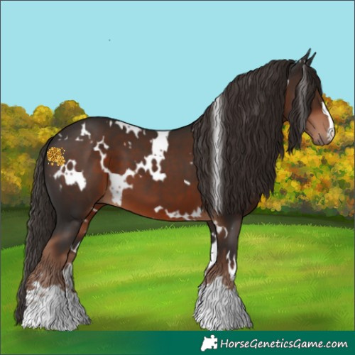 Horse Color:White Spotted Liver Chestnut