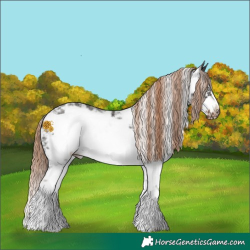 Horse Color:Liver Chestnut Sabino Frame