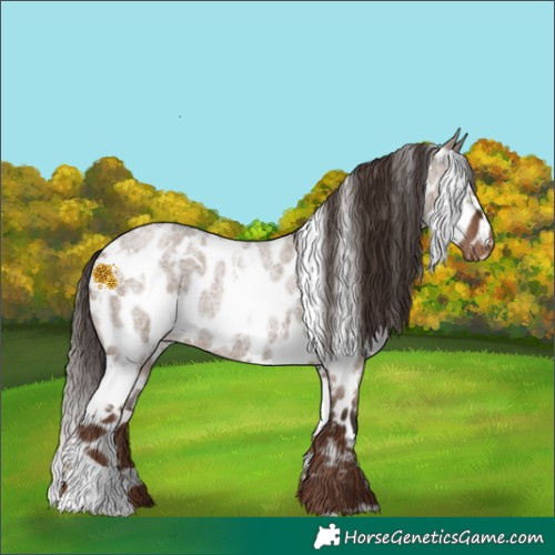 Horse Color:White Spotted Liver Red Dun Roan Near Leopard 
