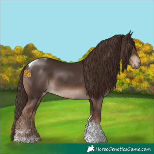Horse Color:Liver Chestnut Tobiano