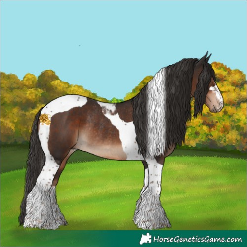 Horse Color:Liver Chestnut Tobiano Rabicano