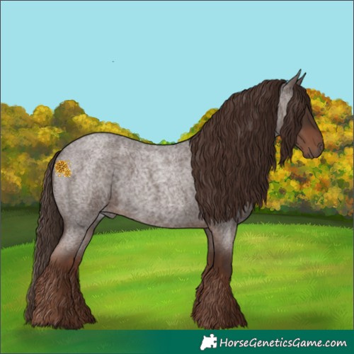 Horse Color:Liver Red Roan 