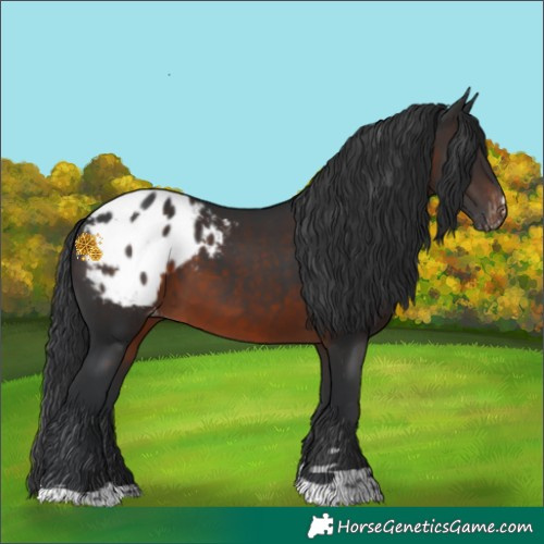 Horse Color:Brown Varnish