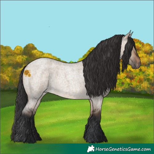 Horse Color:Brown Roan Dun 