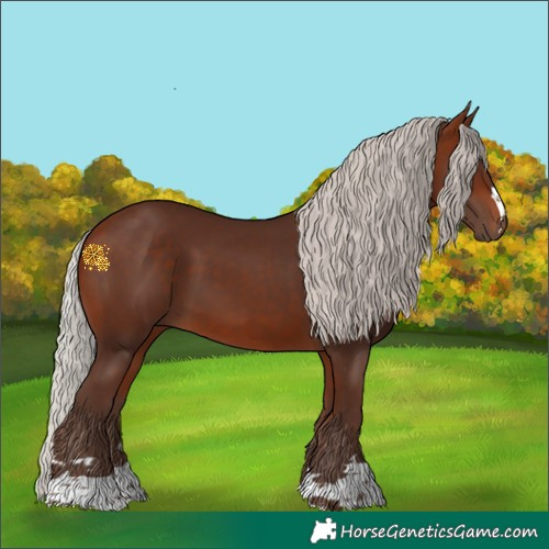 Horse Color:Silver Bay 