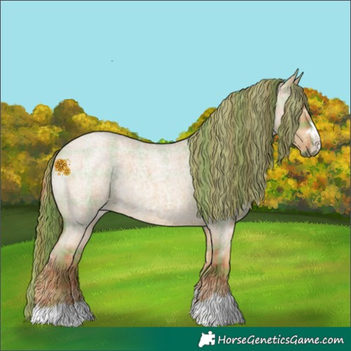 Horse Color:Plaid  Red Dun Roan 