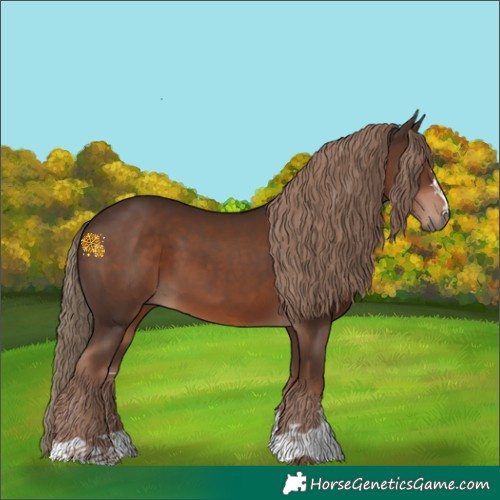 Horse Color:Liver Chestnut 