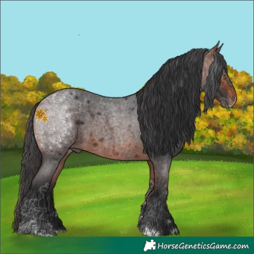 Horse Color:Bay Roan 