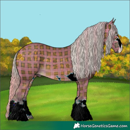 Horse Color:Plaid Chocolate Silver Buckskin