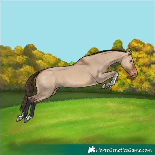 Horse Color:Bay Dun Tobiano Varnish