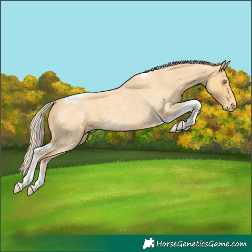 Horse Color:Palomino Roan Tobiano Varnish