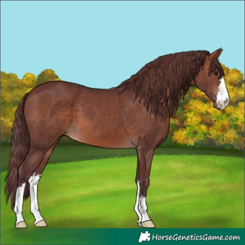 Horse Color:Chocolate Brown 
