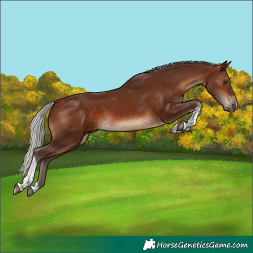 Horse Color:Silver Brown Tobiano