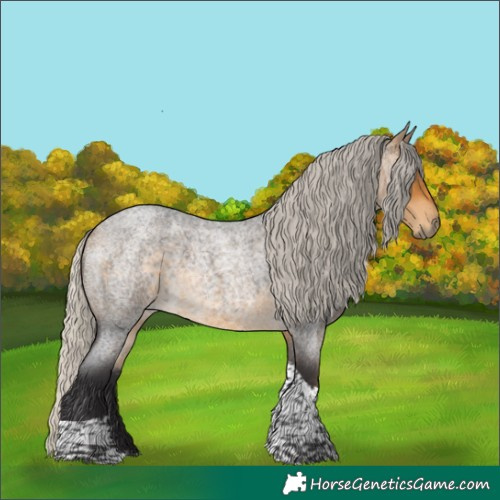 Horse Color:Silver Buckskin Roan Tobiano Rabicano