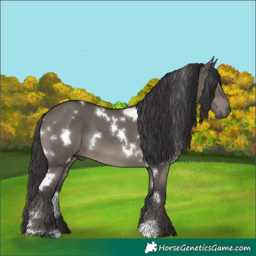 Horse Color:White Spotted Smoky Grullo Mushroom