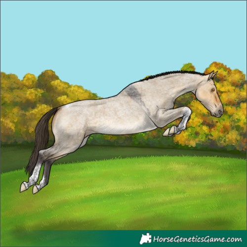 Horse Color:Buckskin Roan Dun Tobiano Rabicano 