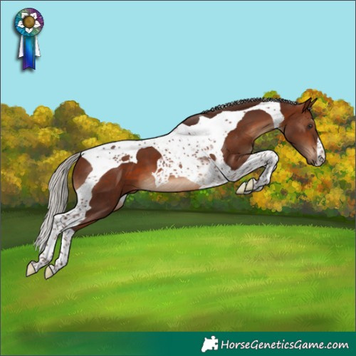 Horse Color:Silver Brown Tobiano
